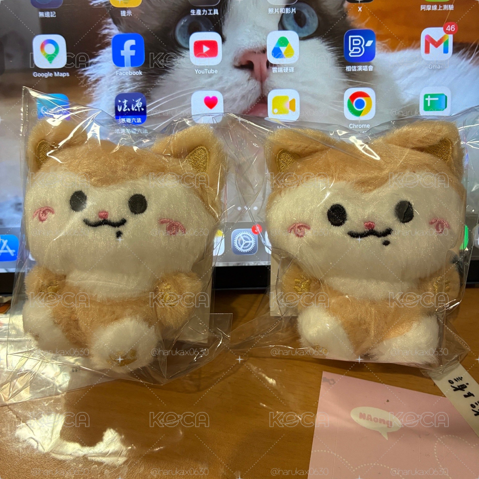 TWINZY Ryeowoo baby坐姿娃娃