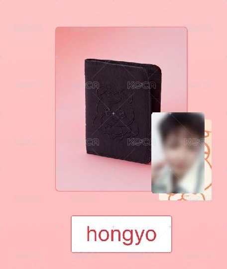 hongyo護照套