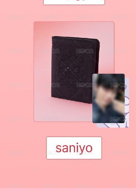 saniyo護照套