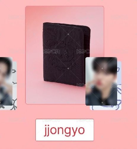jjongyo護照套