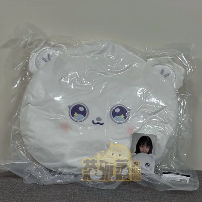 Artist Label: NMIXX Edition 抱枕 