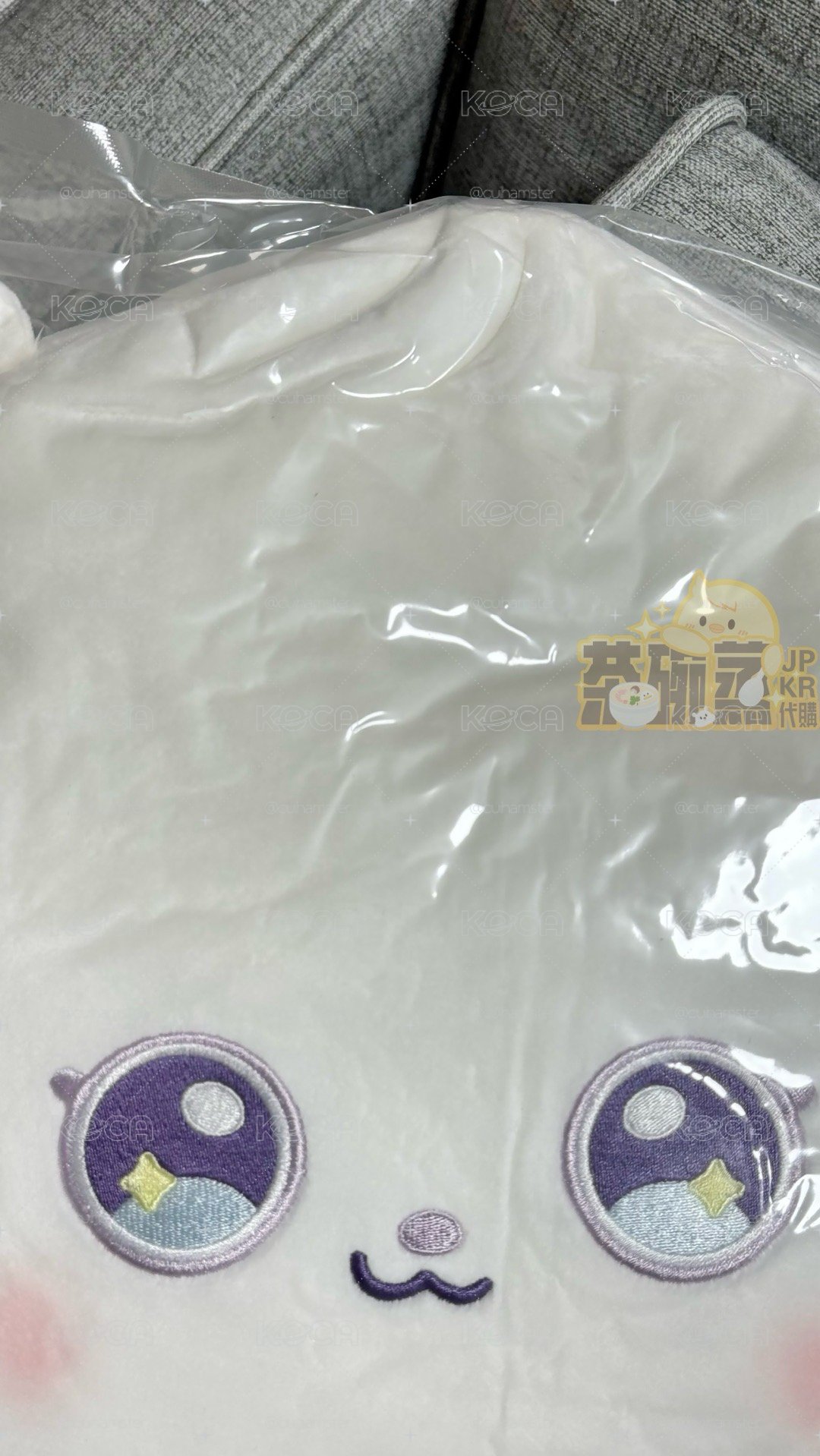 Artist Label: NMIXX Edition 抱枕 