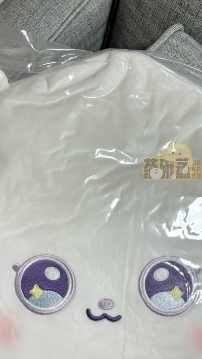 Artist Label: NMIXX Edition 抱枕 