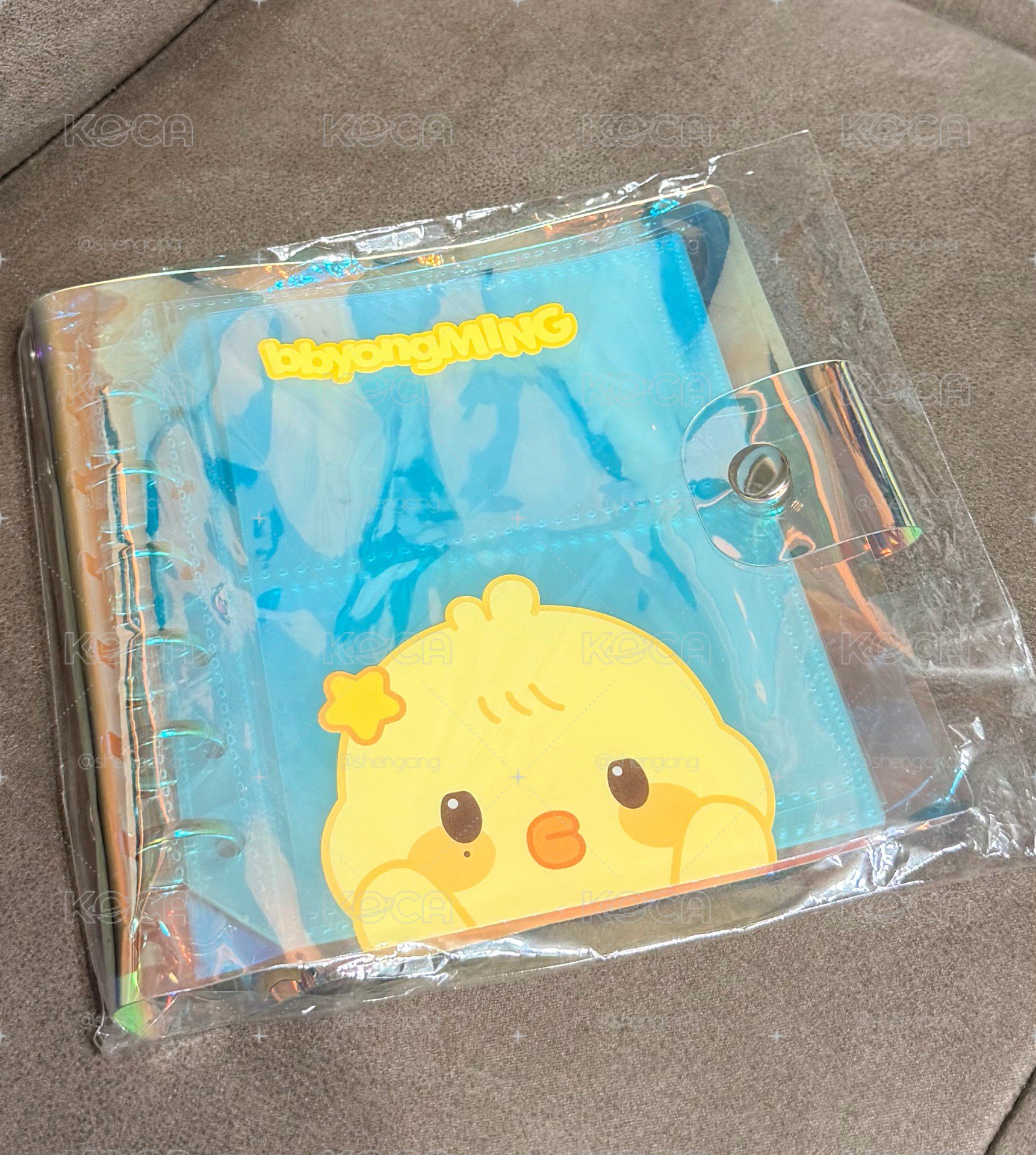 ANITEEZ IN Deja Vu 卡冊 PHOTO CARD BINDER🐥
