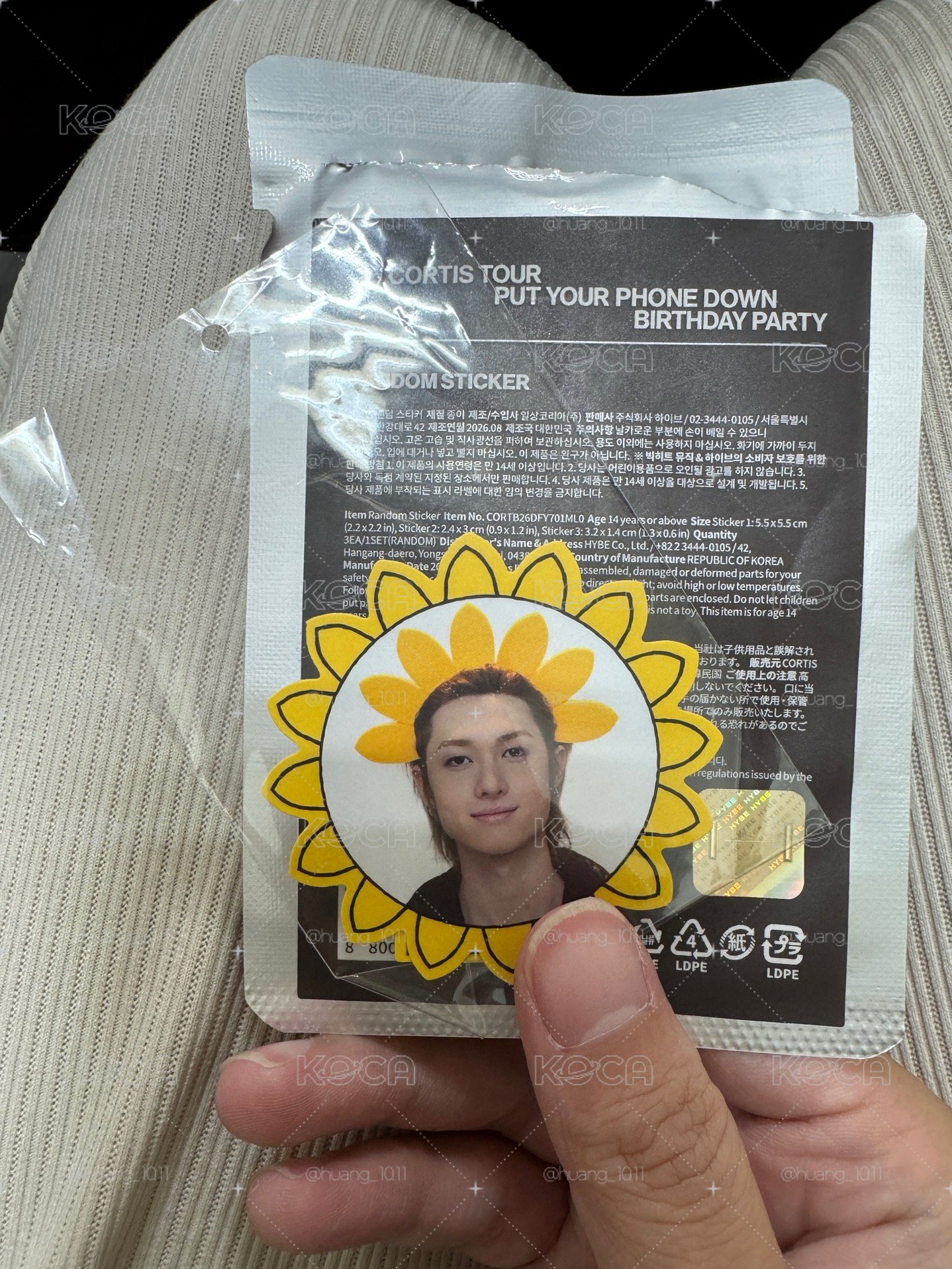 太陽馬丁