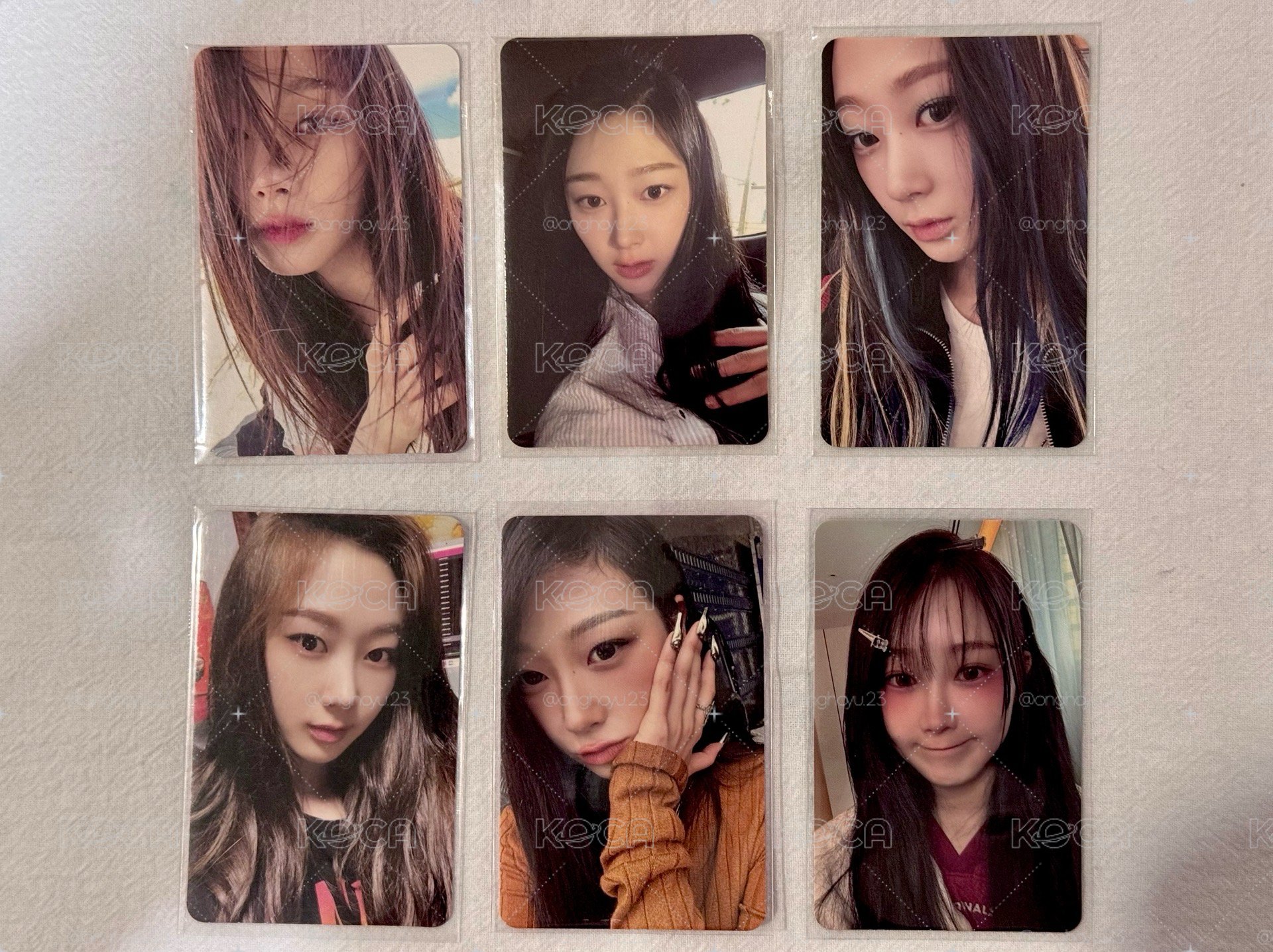 吉吉國王的小卡們