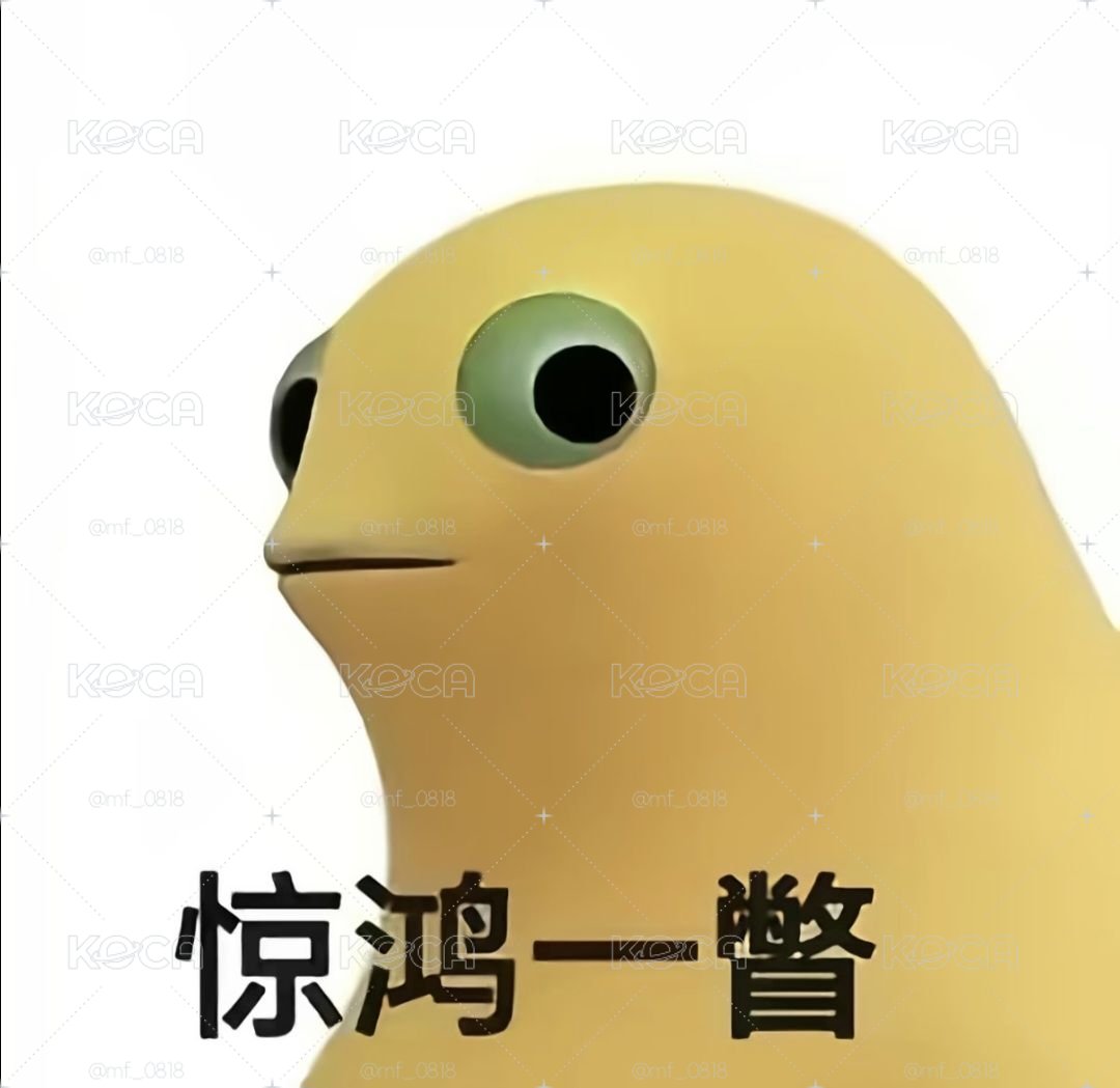 專拍