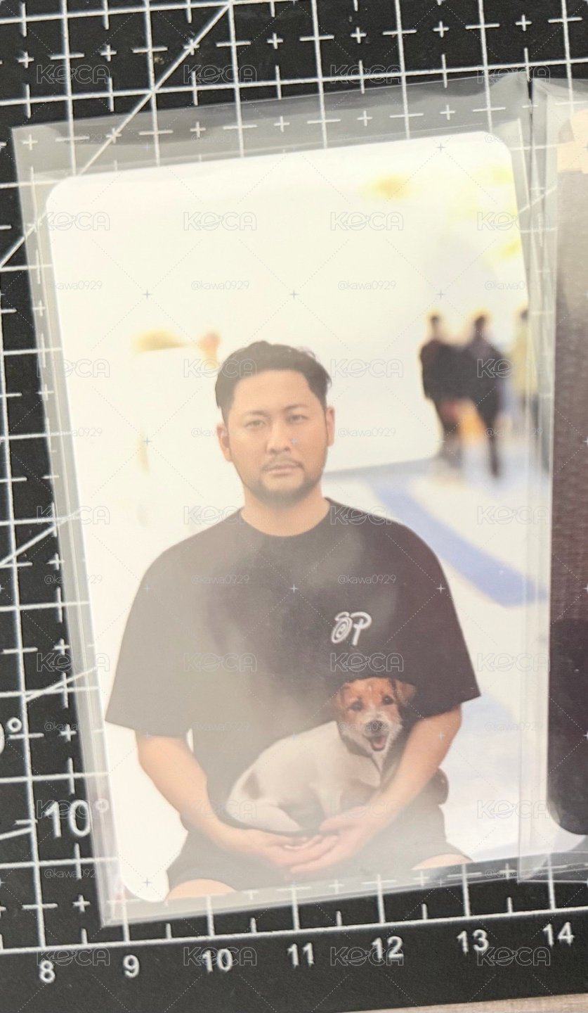 THTH抱狗卡