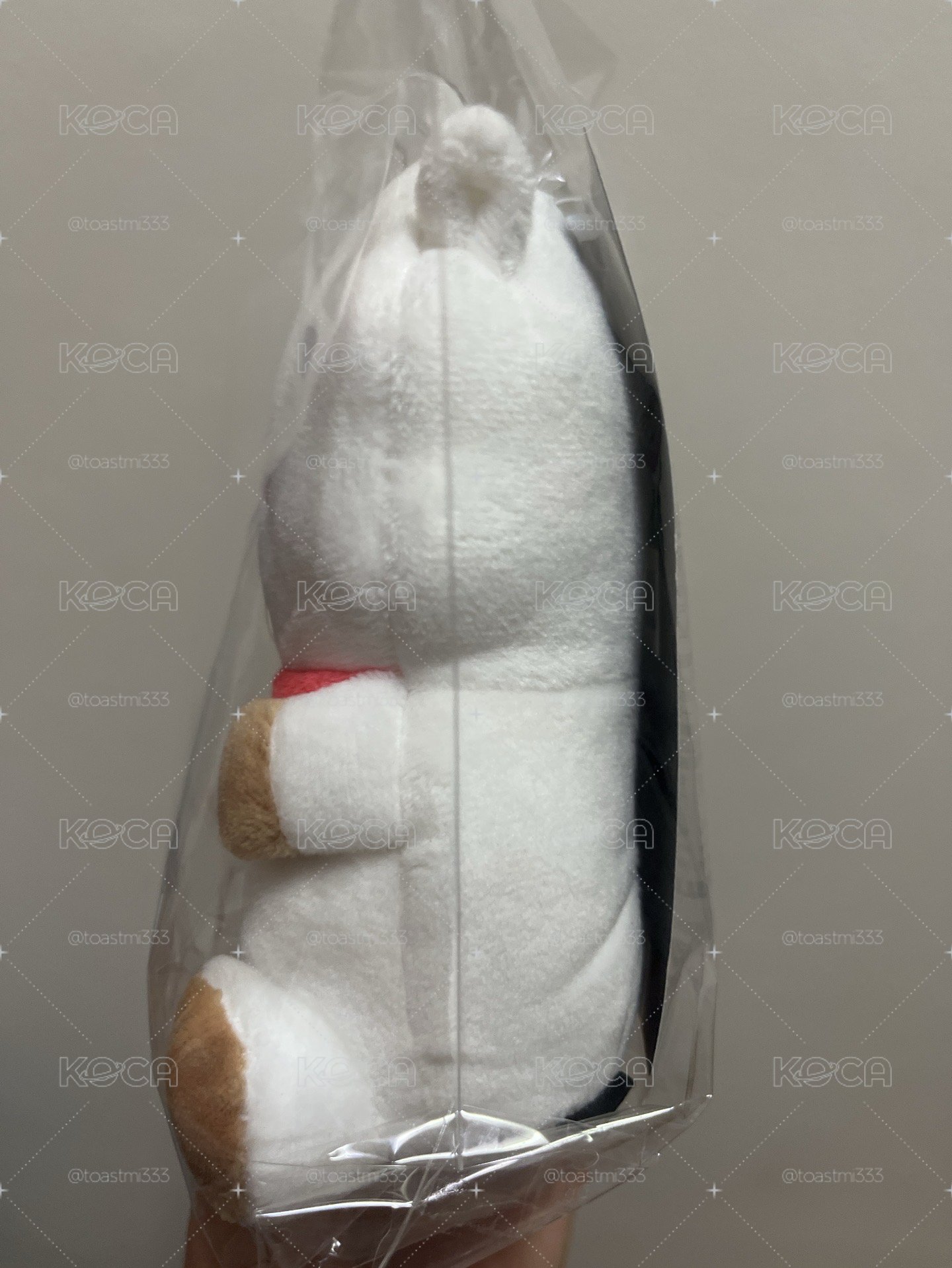 羊駝