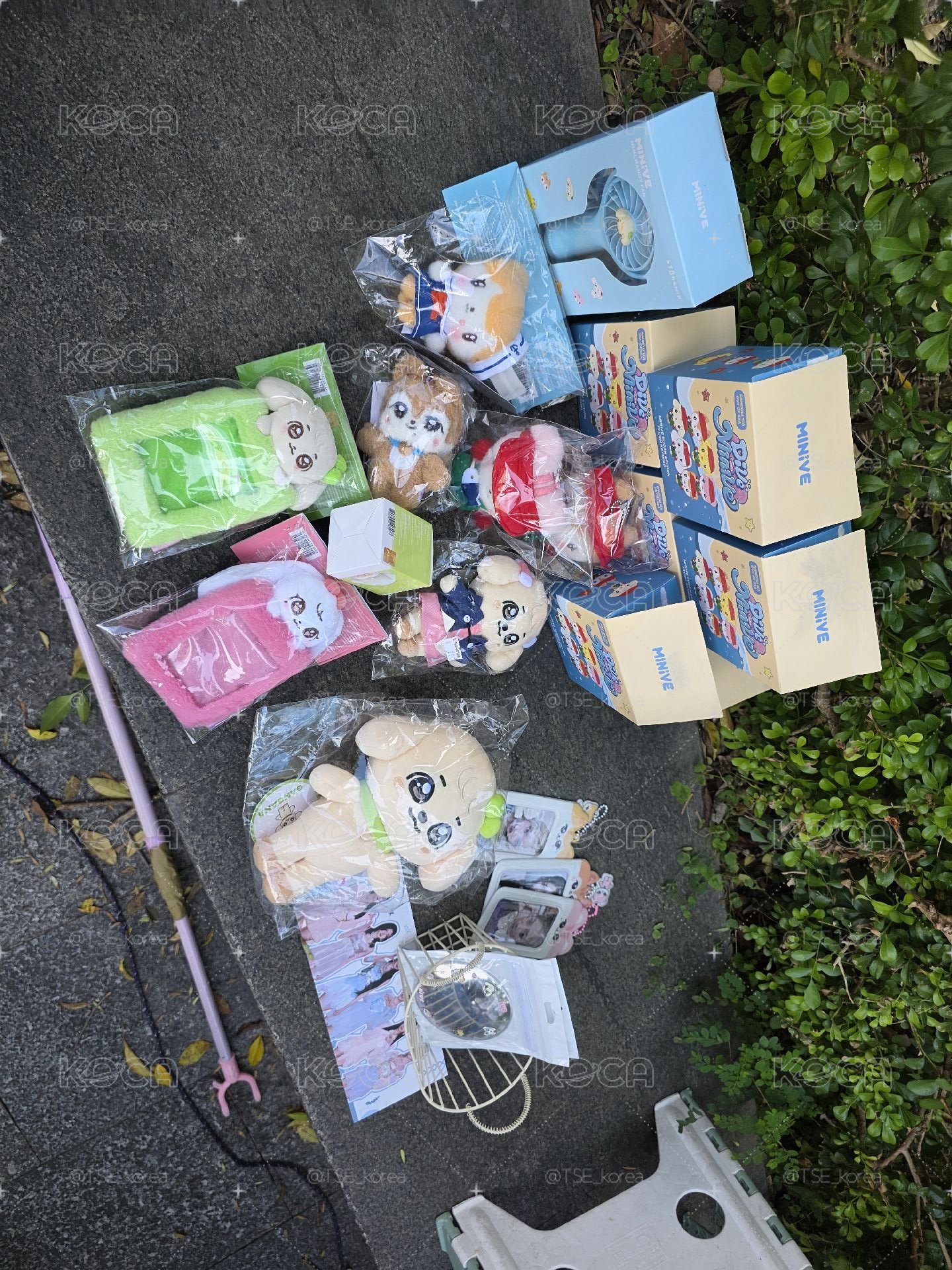 釜山限定秋天確認款