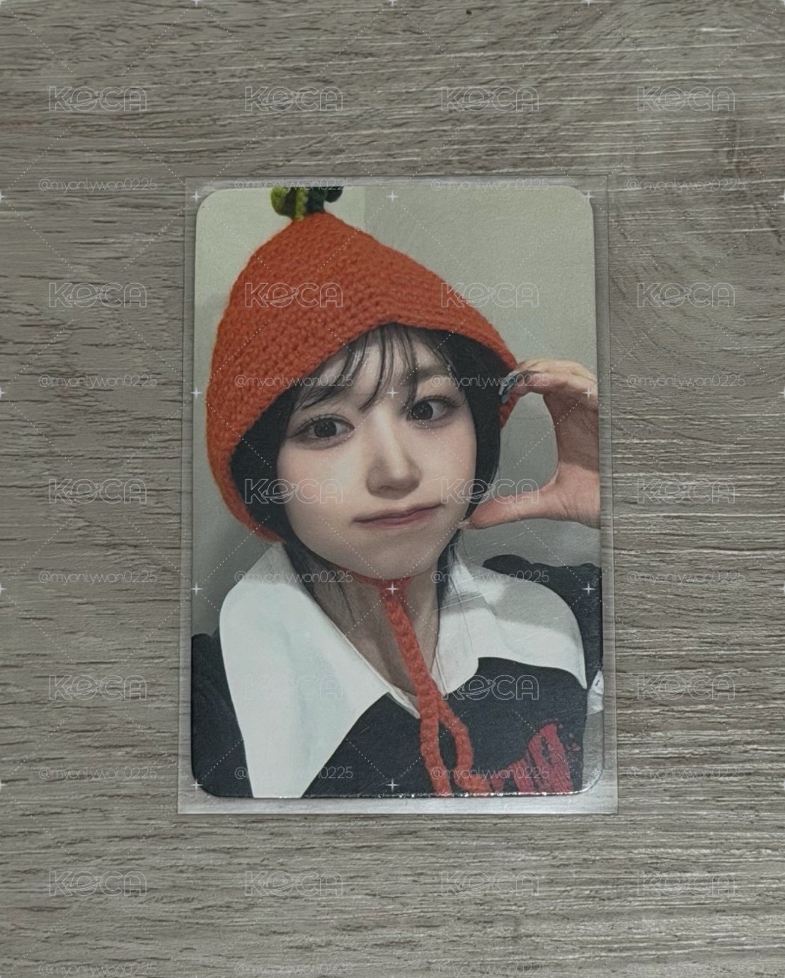 🐻‍❄️橘子嫄🍊（中文卡背）