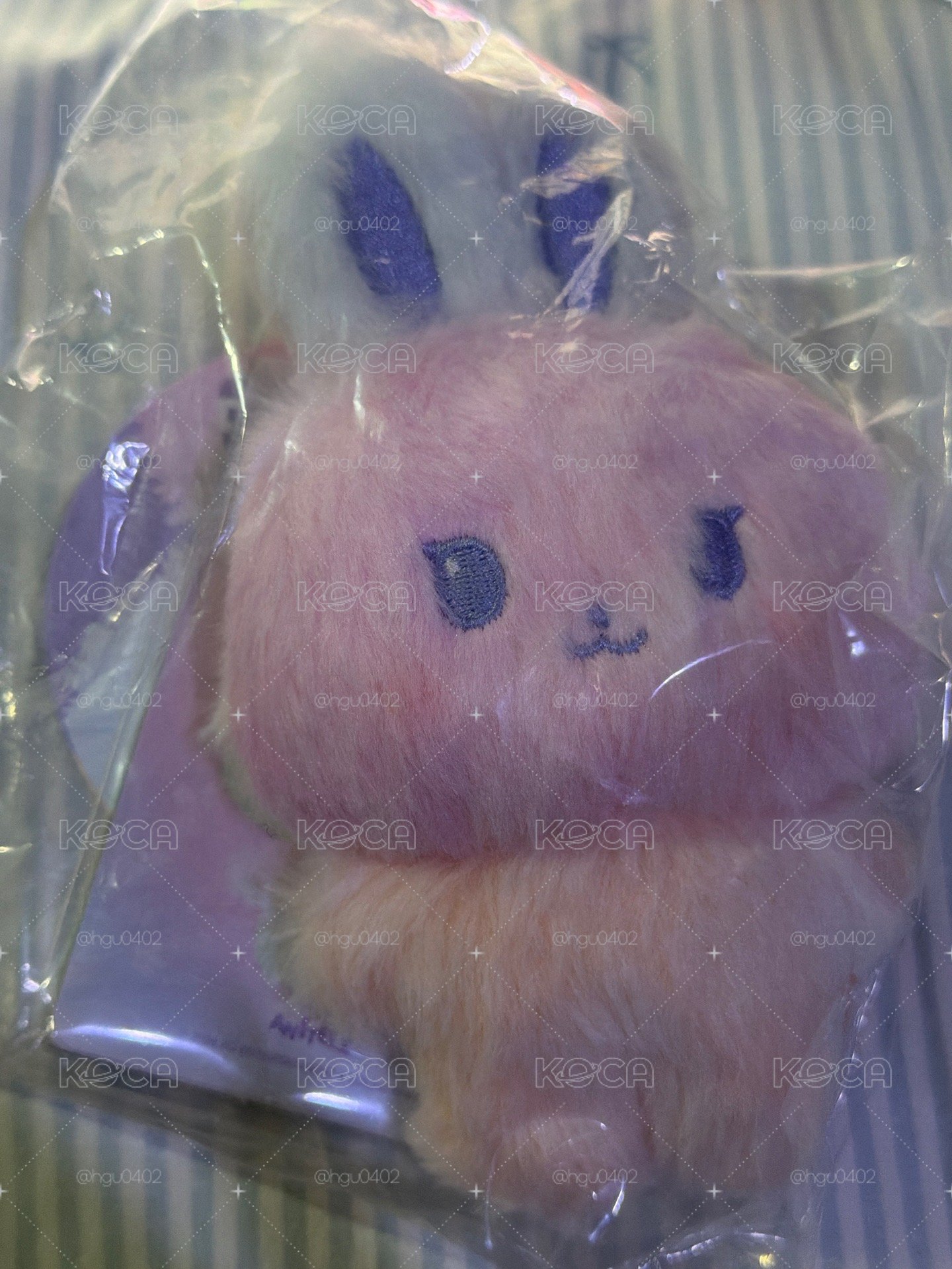 現貨混色娃 咚星 含卡