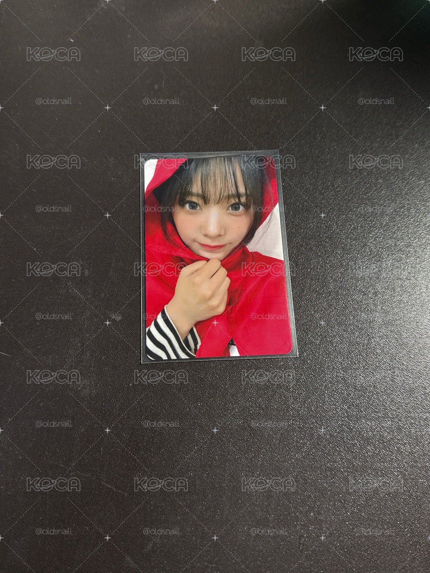 小紅帽 燕