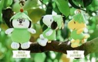 2025 柚子裝玩偶吊飾