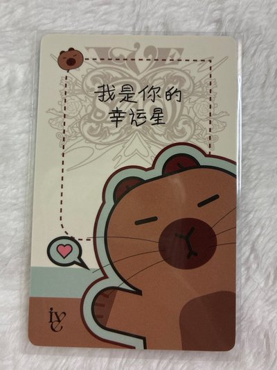 卡皮巴拉瑞 中背