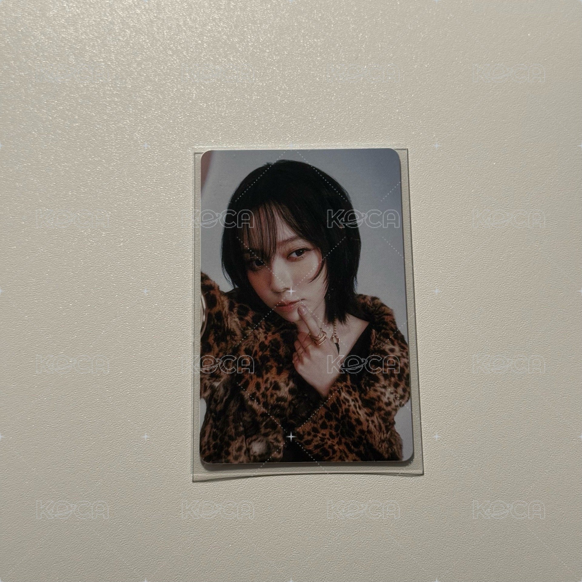 冬