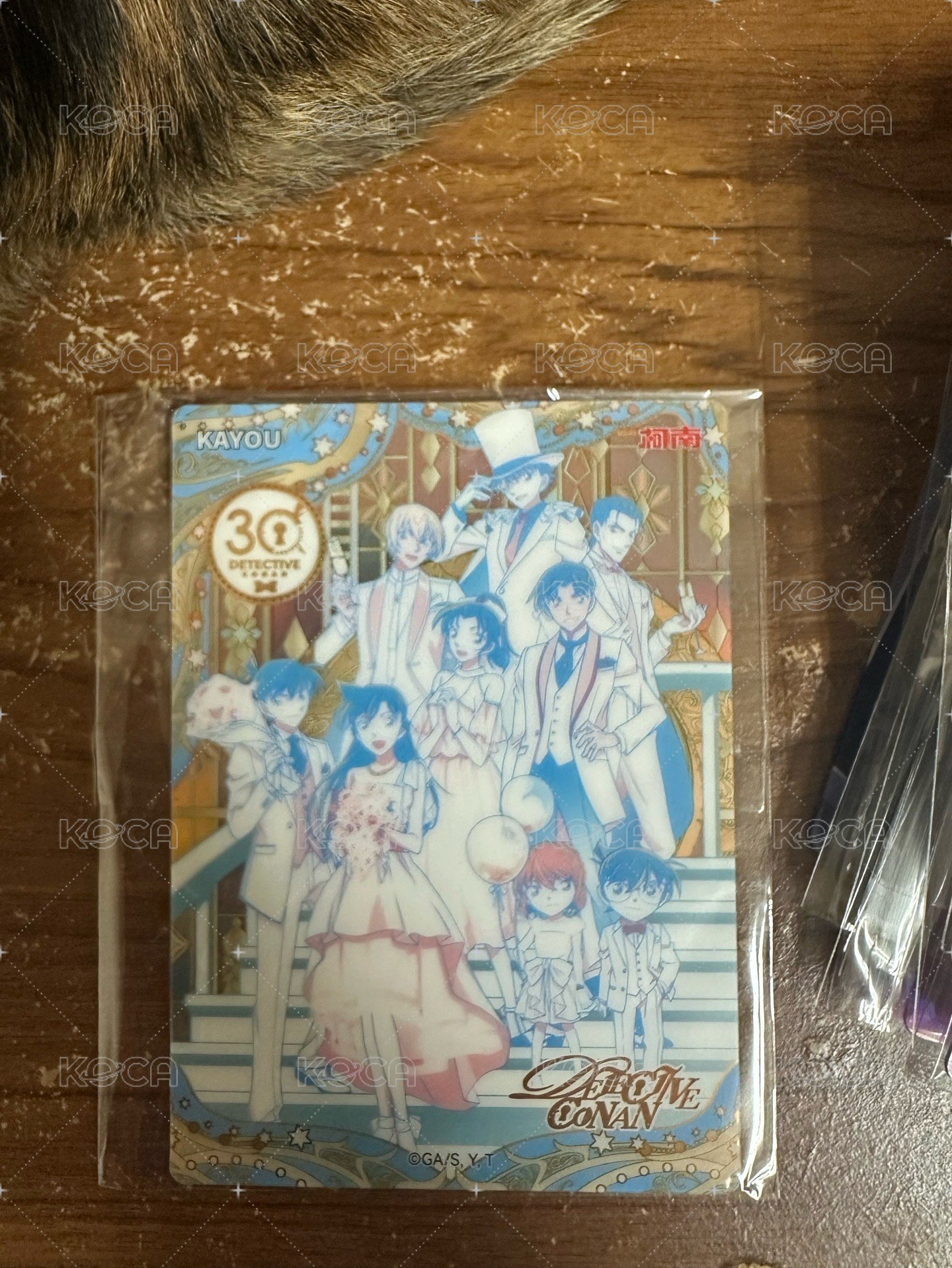 全員異彩繁夢款