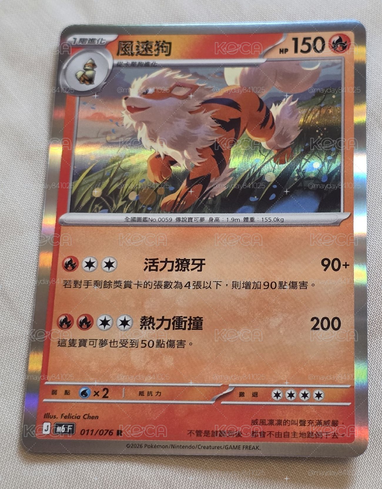 寶可夢 風速狗