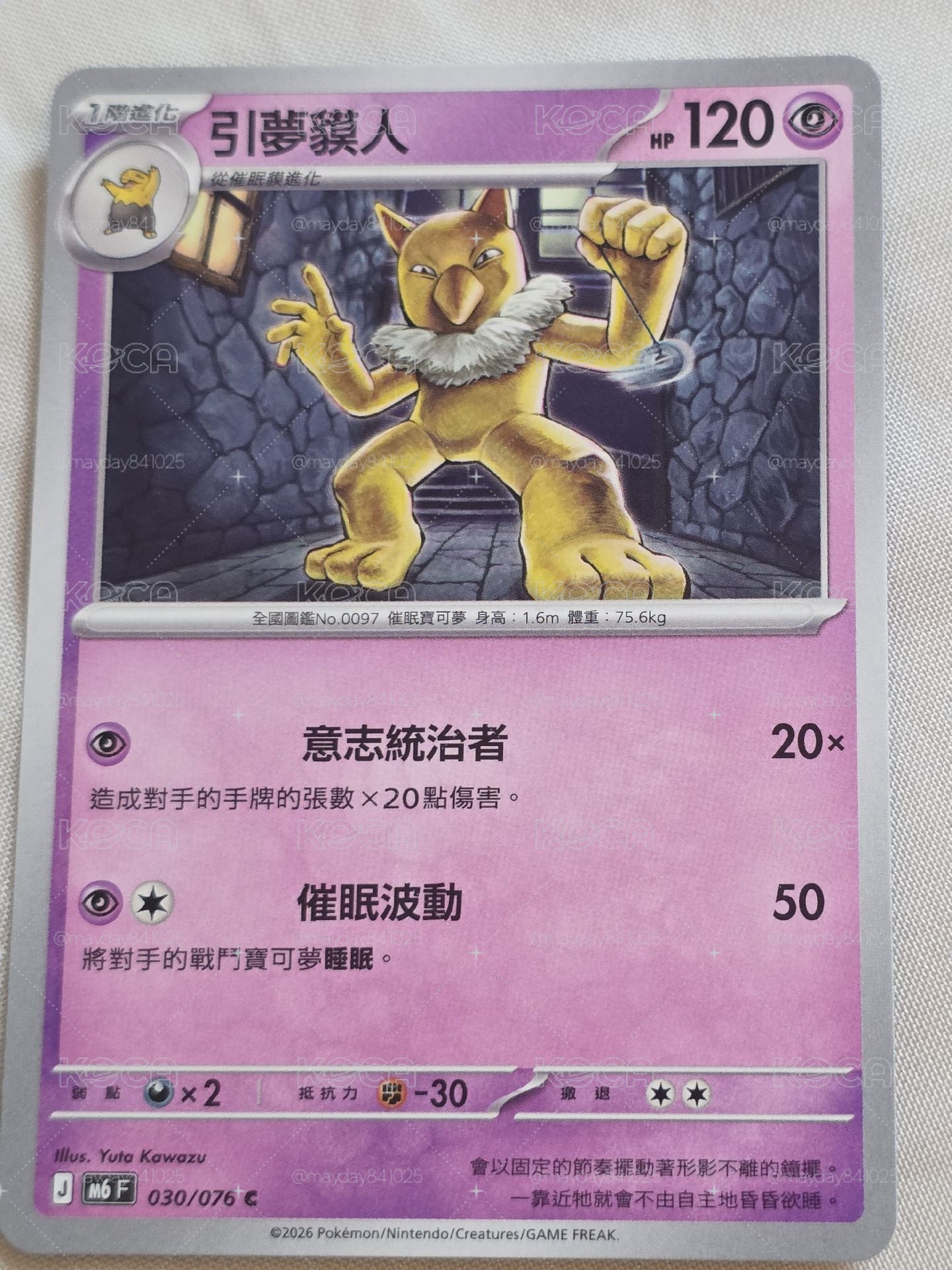 寶可夢 引夢貘人