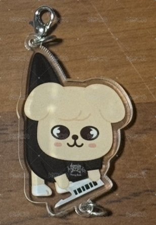 3rd世巡 吊掛帕皮