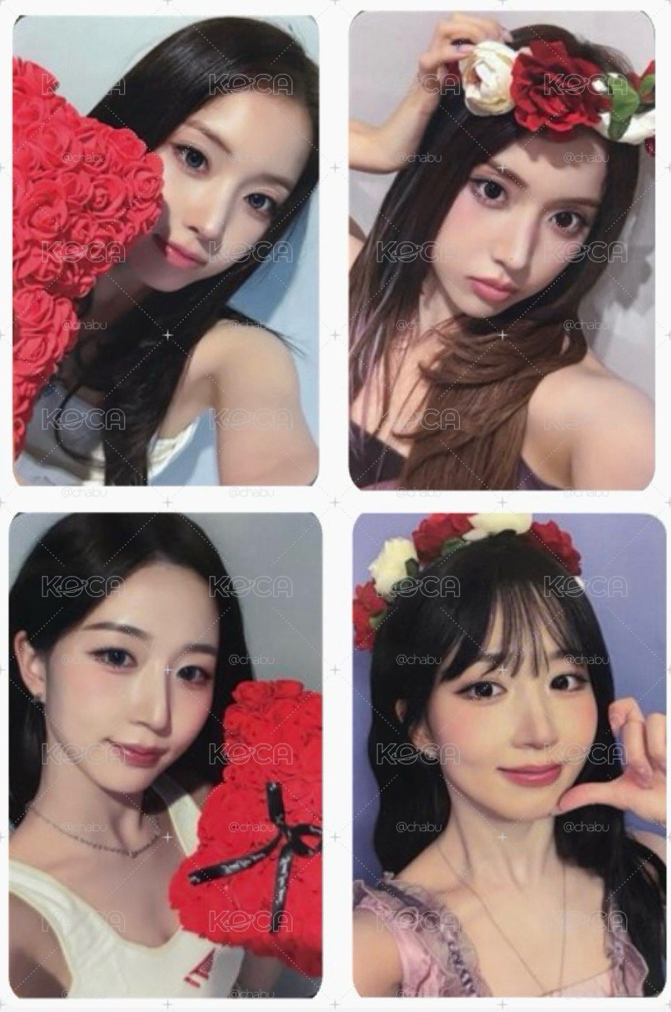 玫瑰花環/熊