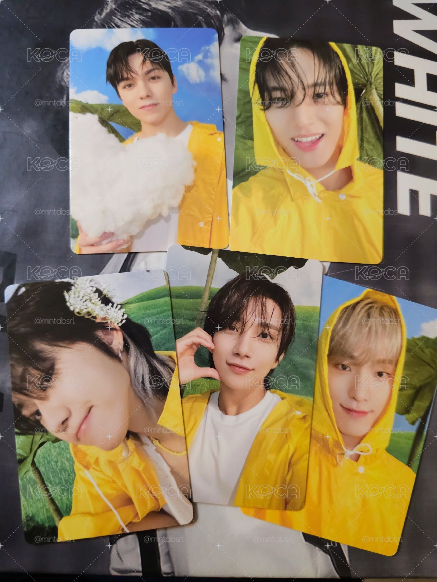 SEVENTEEN 雨衣克拉盤專卡盤
