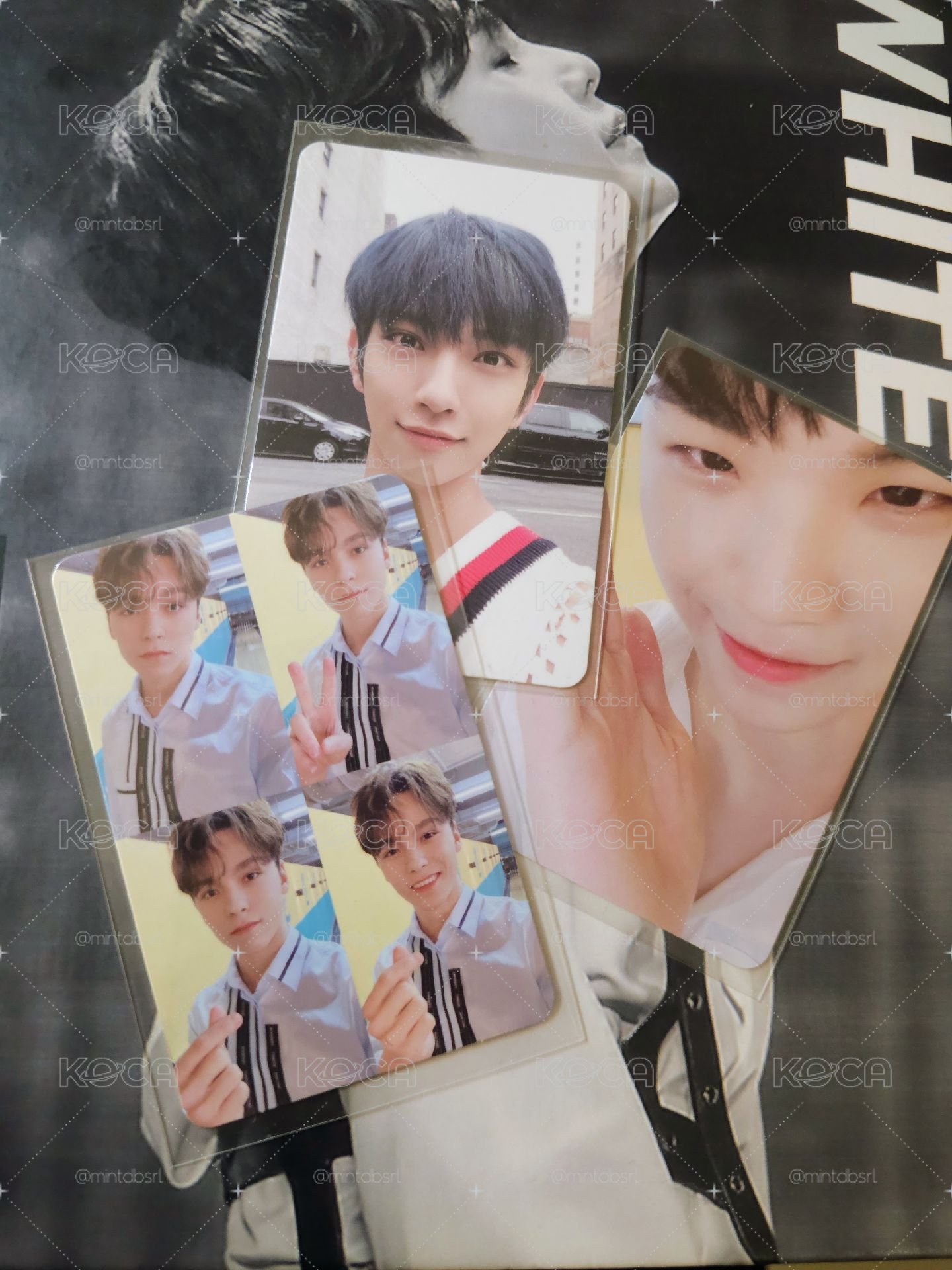 SEVENTEEN 迷七專卡小小盤 崔瀚率 李知勳 洪知秀