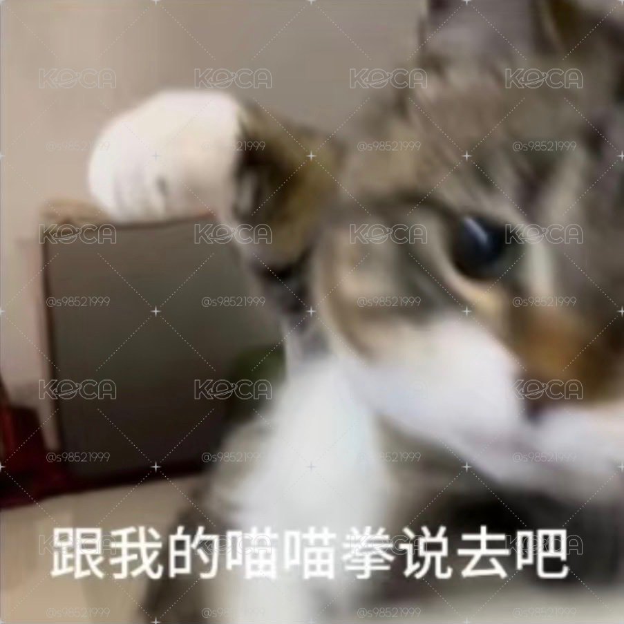 專拍
