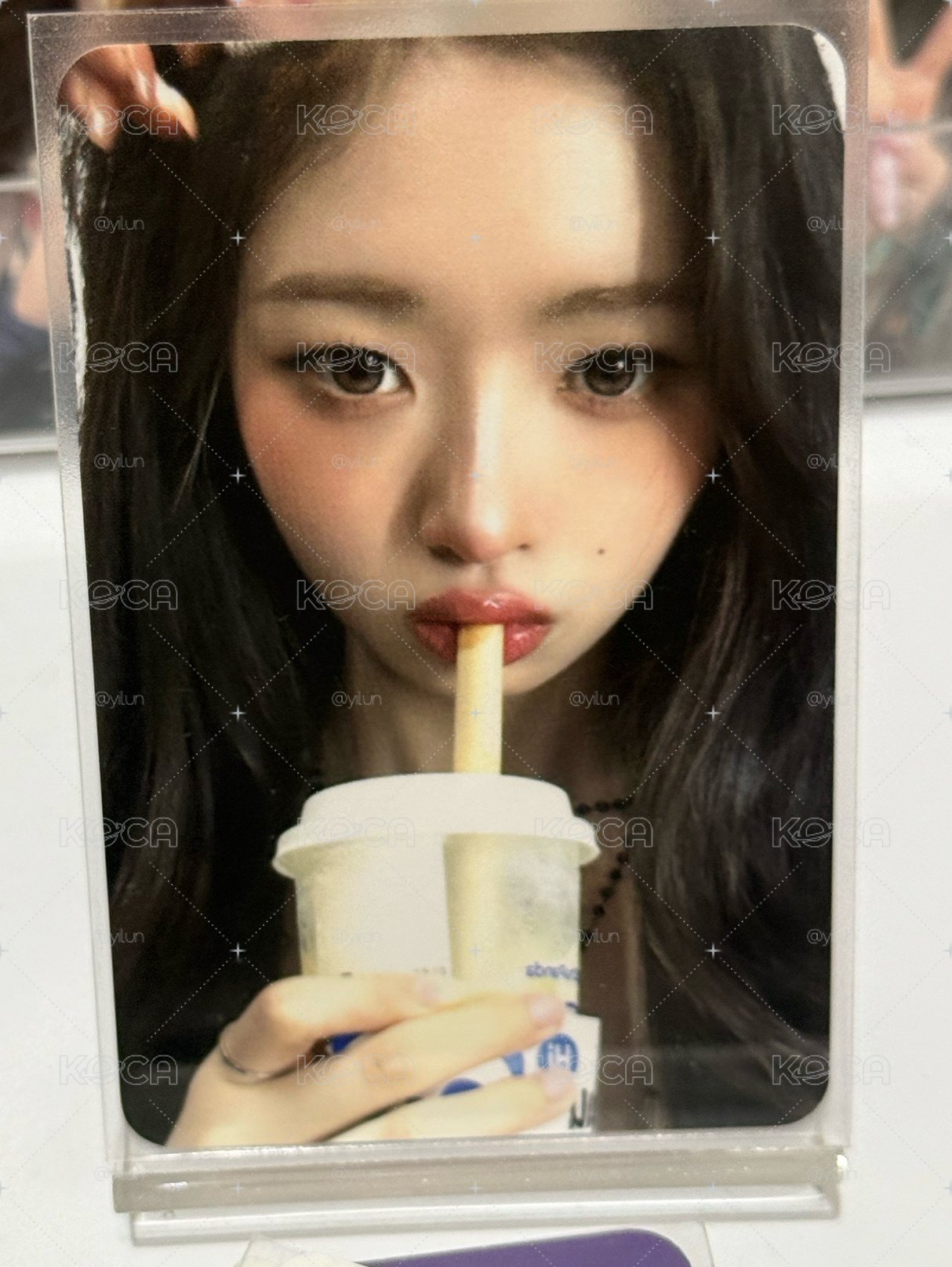 茶白道怜