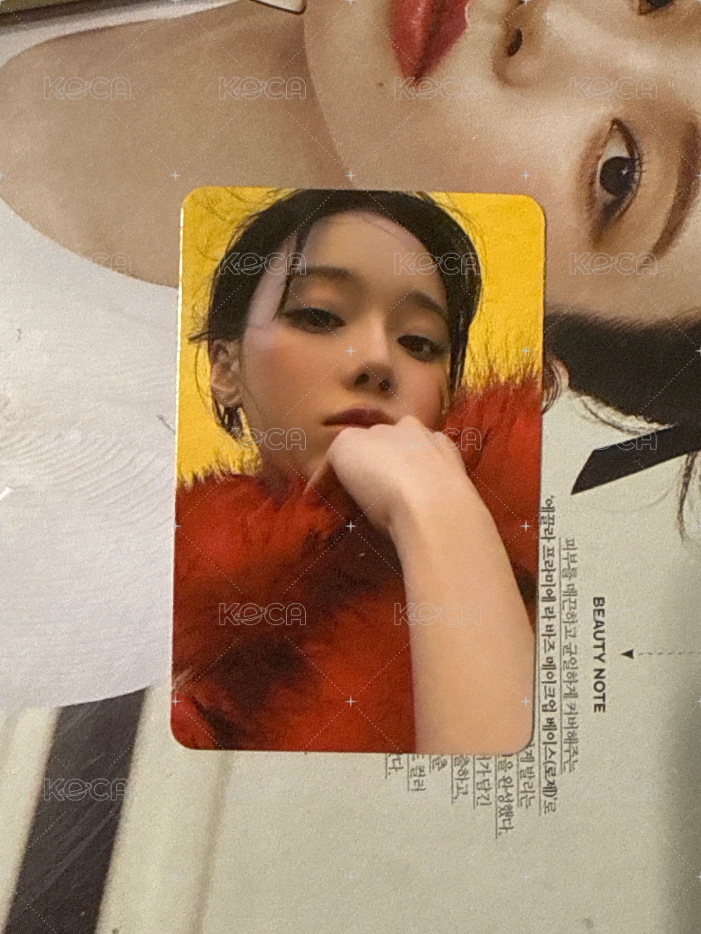 burst冬