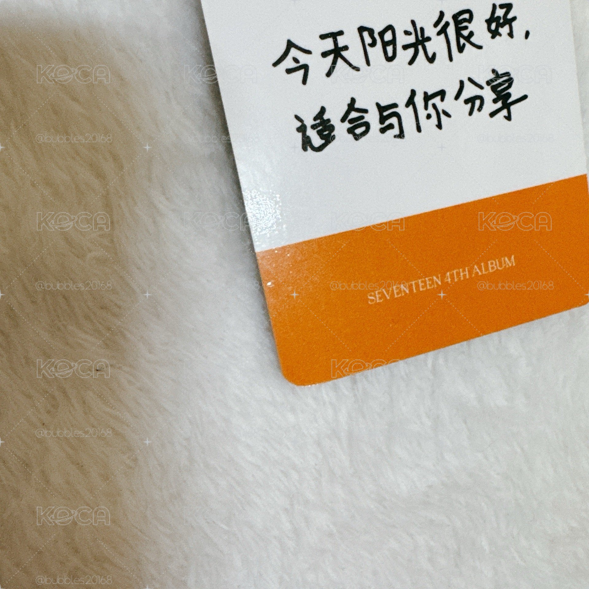 正四淨漢中背卡