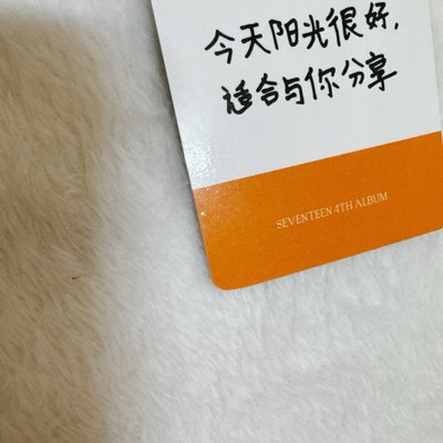 正四淨漢中背卡