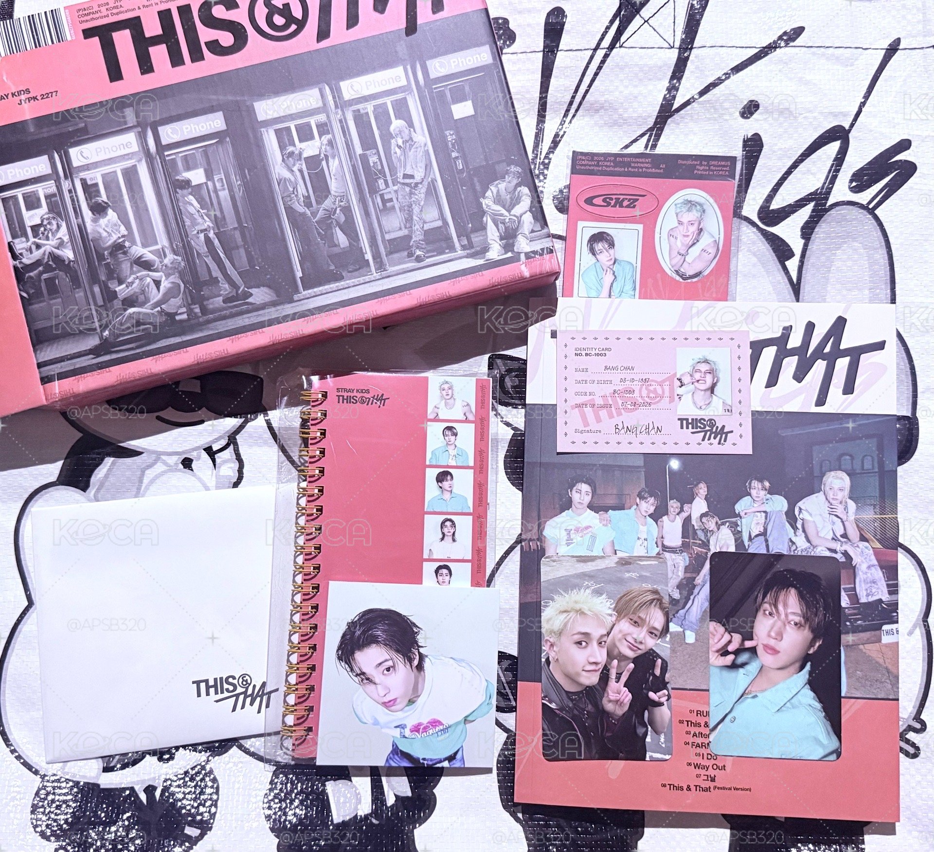 🥟SKZ this&that 全新僅拆檢
