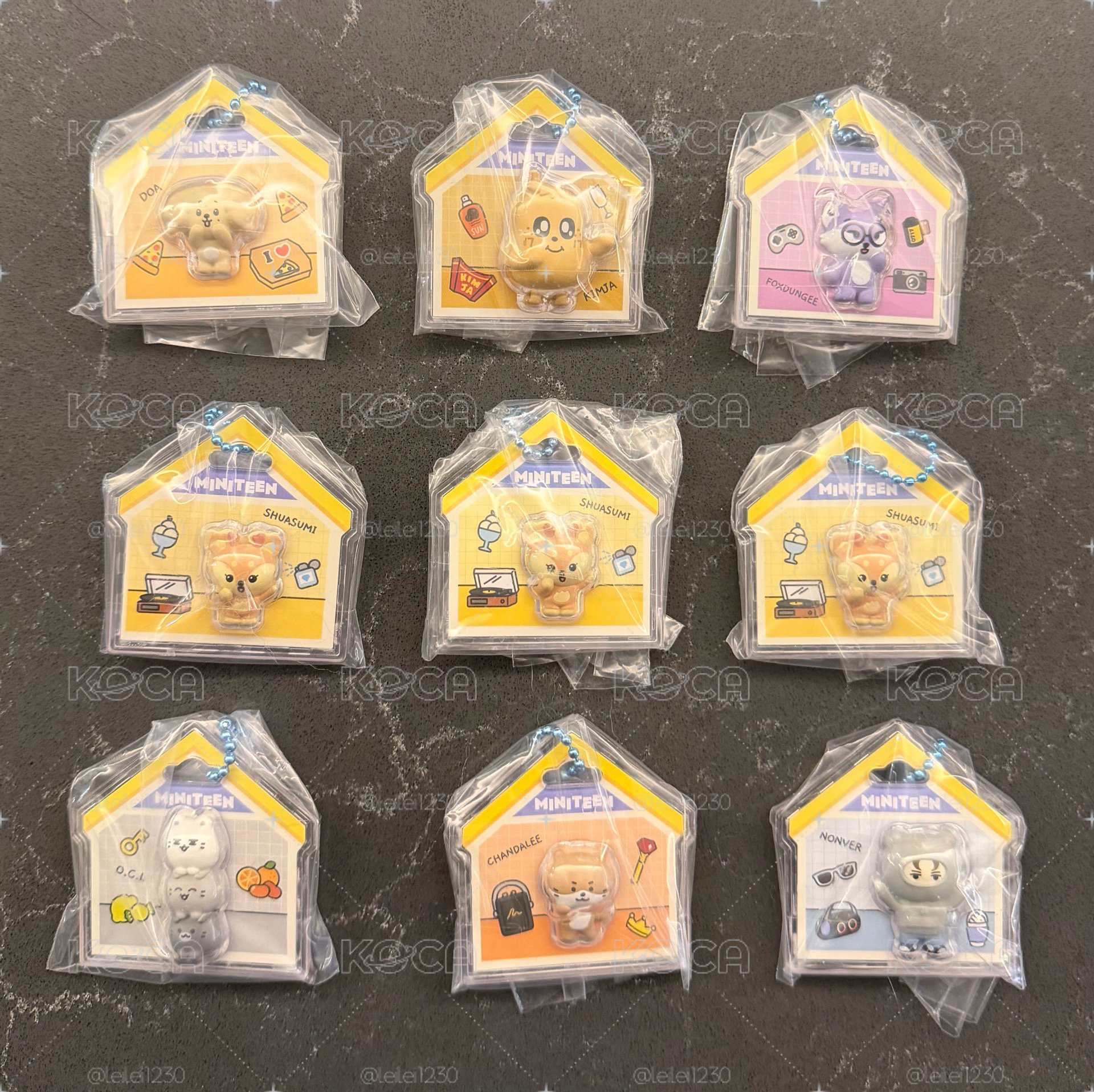 食玩扭蛋 秀俊圓奎碩率燦 不含軟體