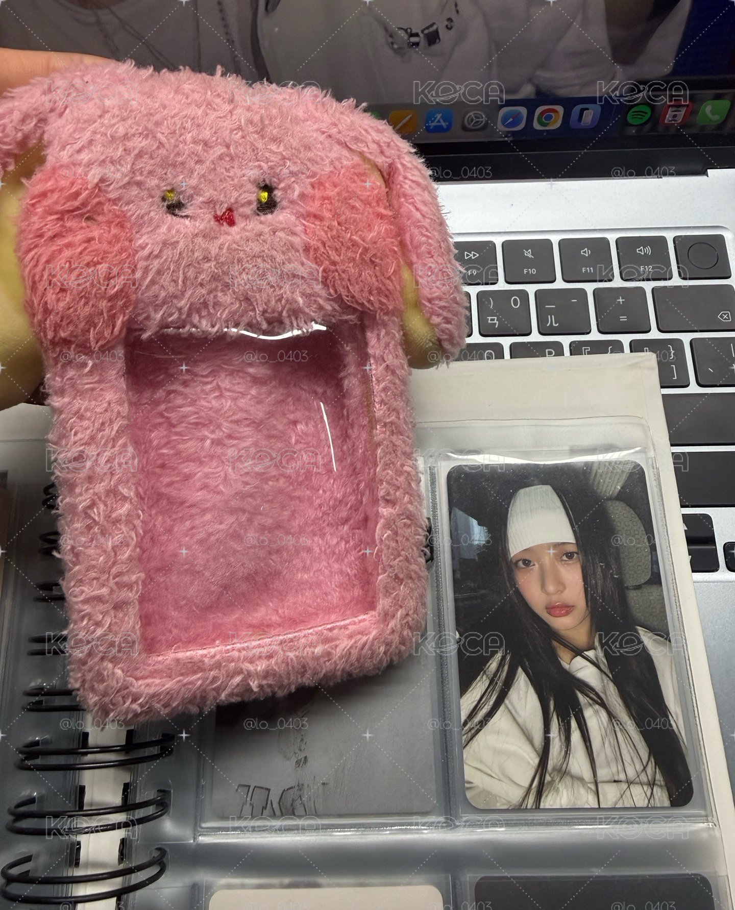 哈尼