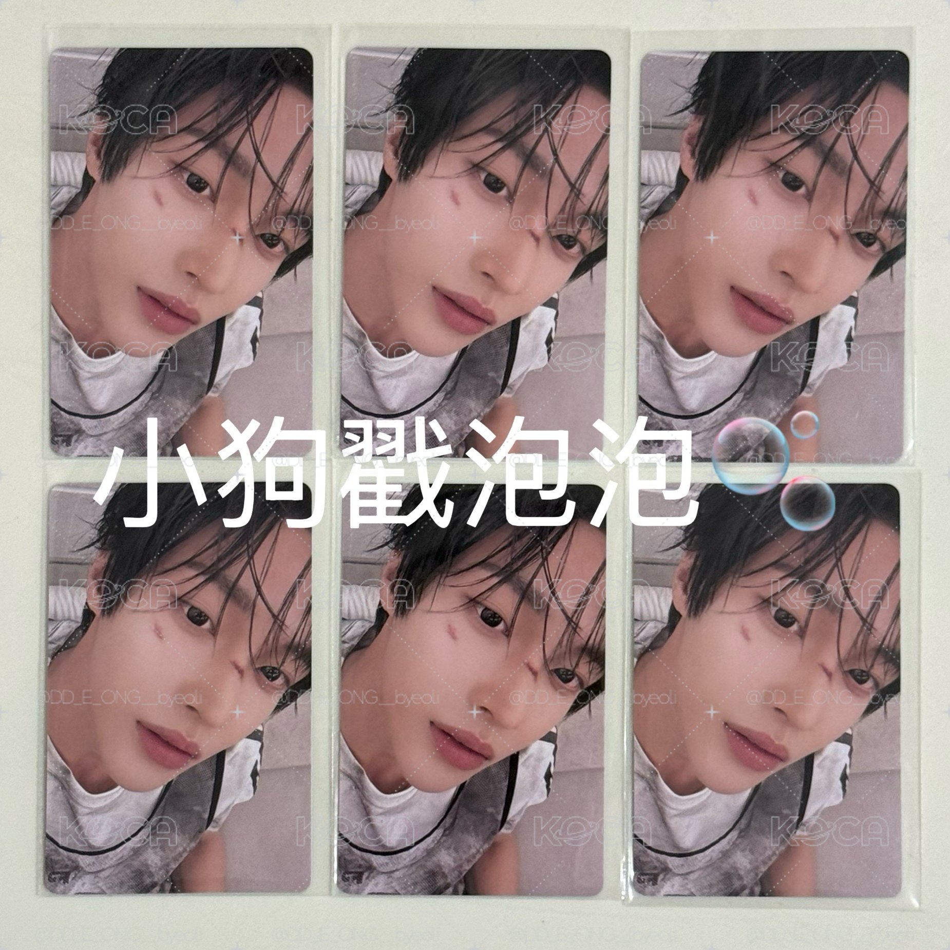 Riize 熊寶 元彬 幸運卡