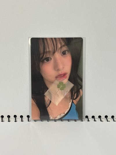 白情四葉草賢含綁物 現貨