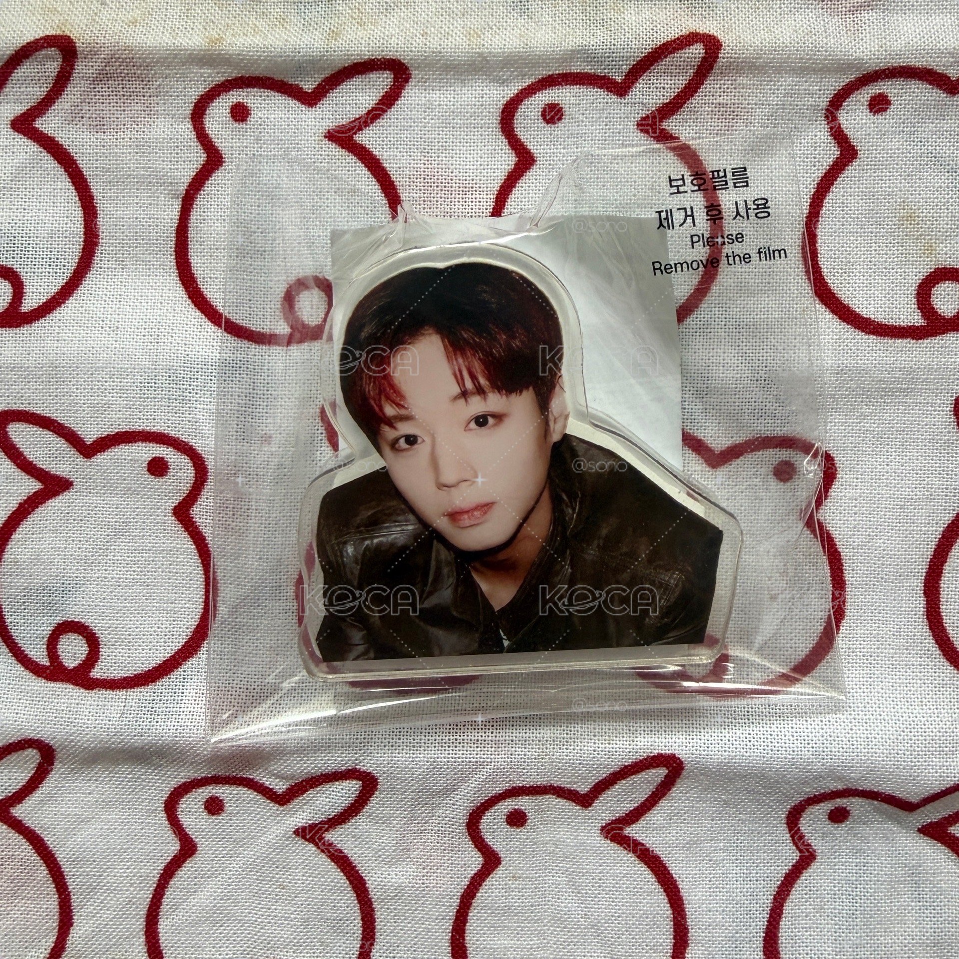 朴志訓 PARK JIHOON RE:FELCT 首爾安可場 週邊 壓克力夾