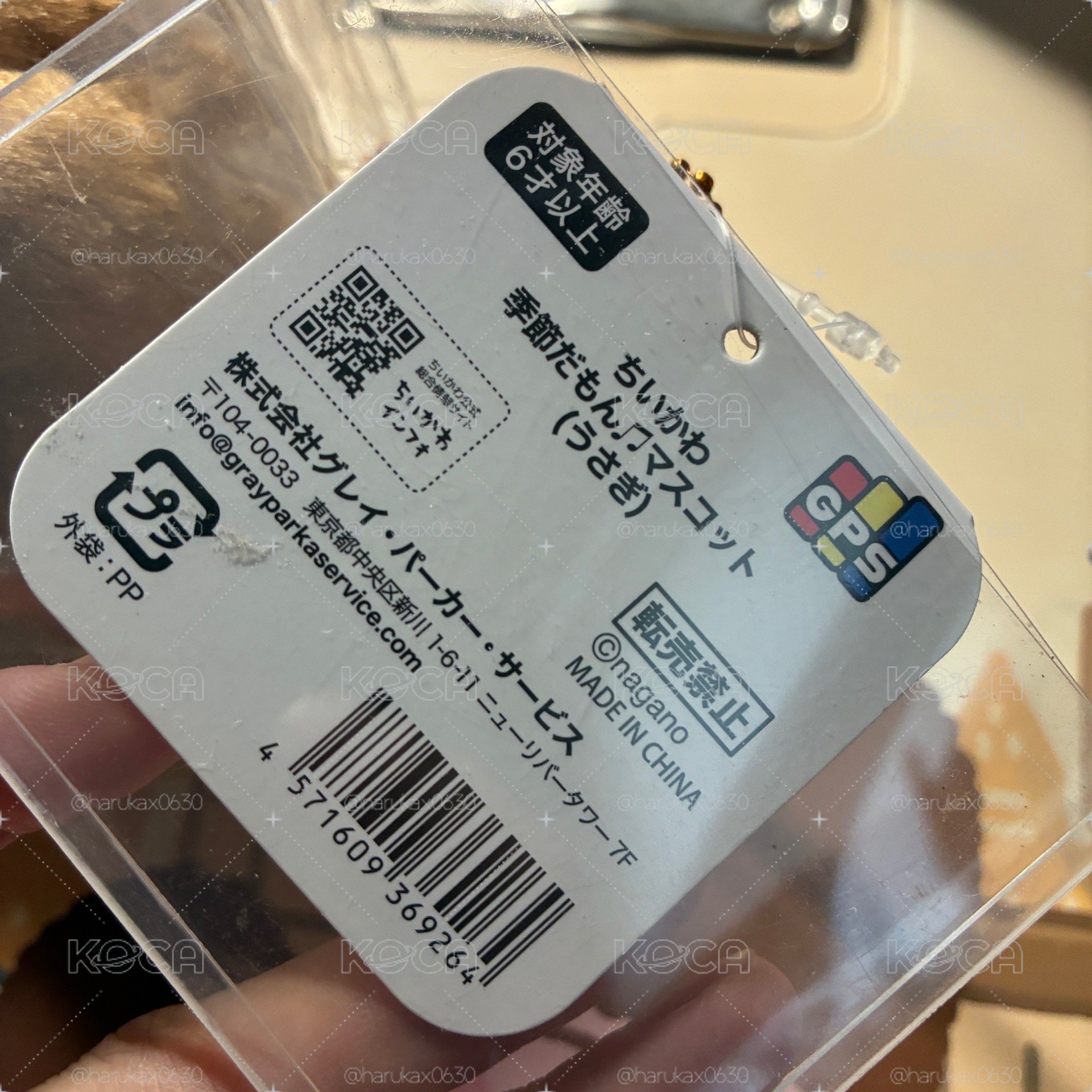 香菇兔兔 537