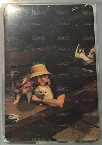 正規1後續 專輯卡 