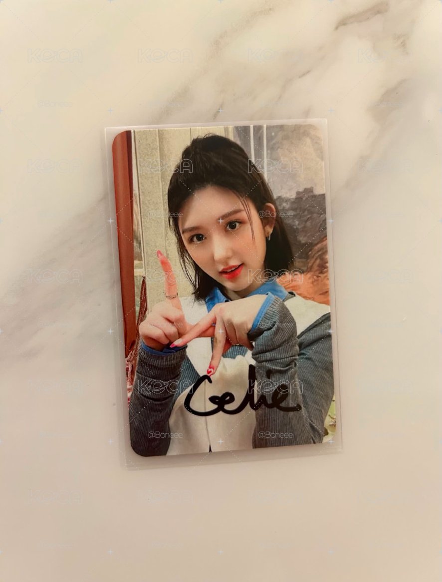 🐿️