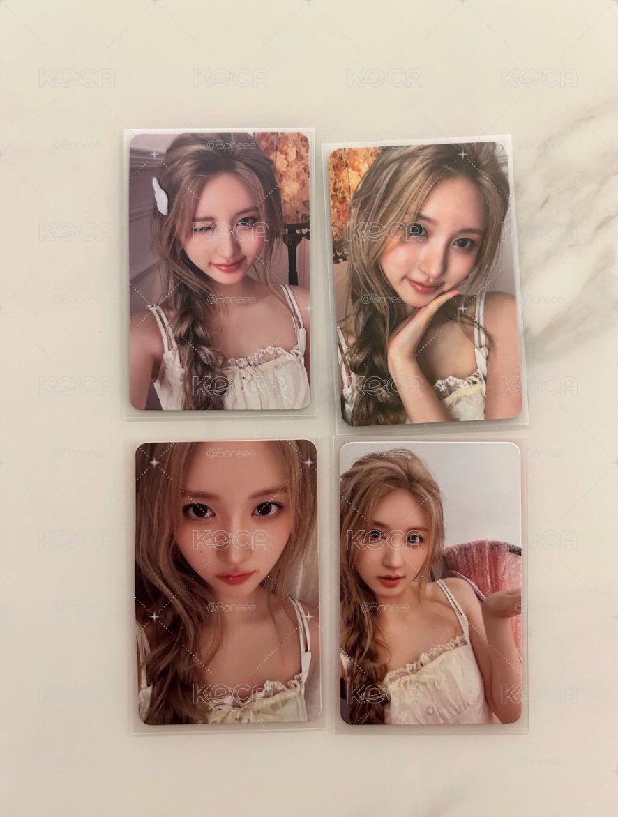 🐿️