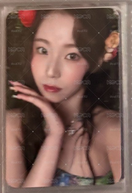 仲夏夜 jyp 預售 特典卡 