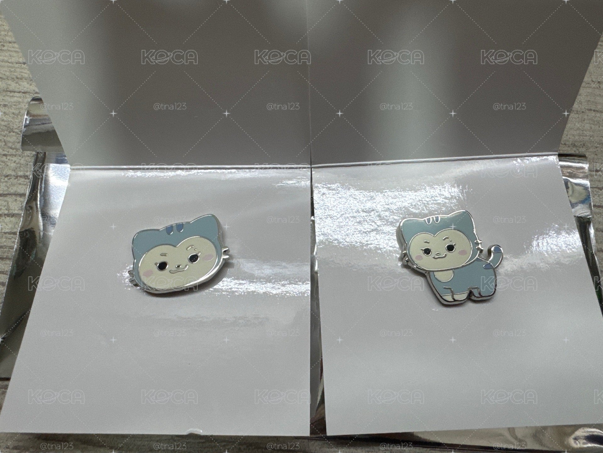 TWINZY 別針襟章 RyuJJI 一組