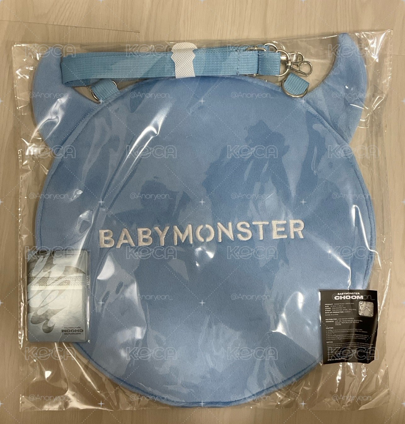 ˚⊹ᡣ𐭩BABYMONSTER 寶怪 場週扇套
