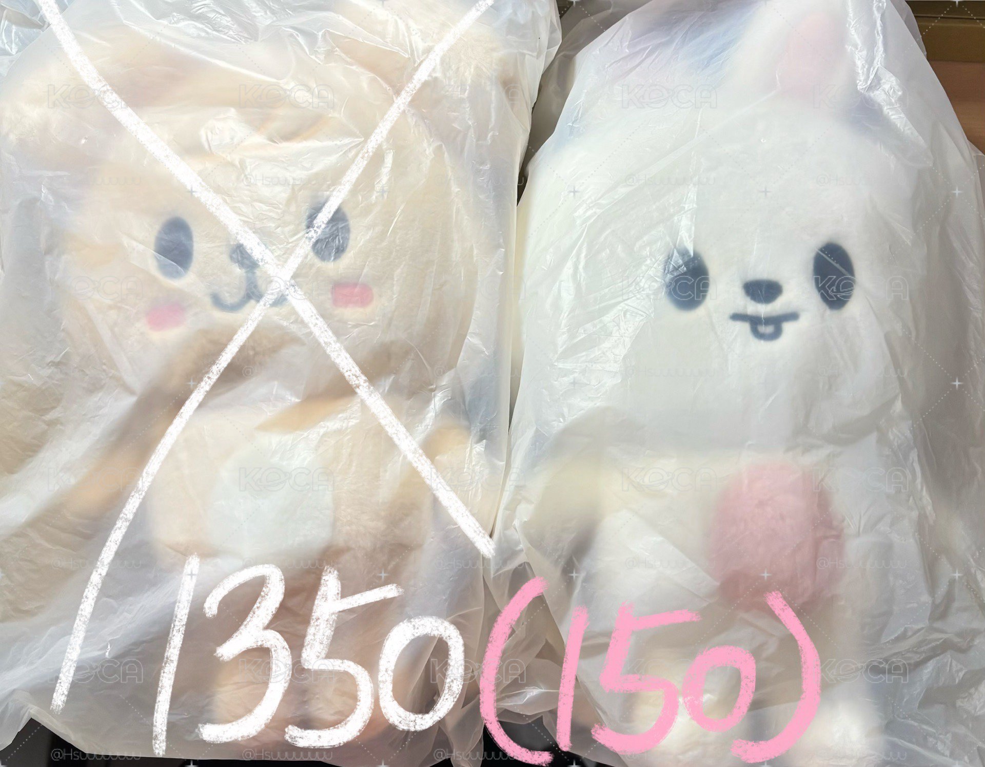 6期後背包（全新未拆）