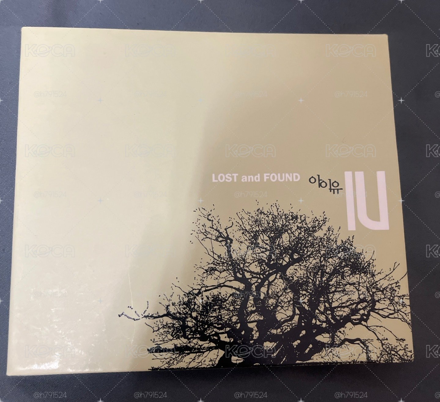 IU 李知恩 Lost and Found 專輯