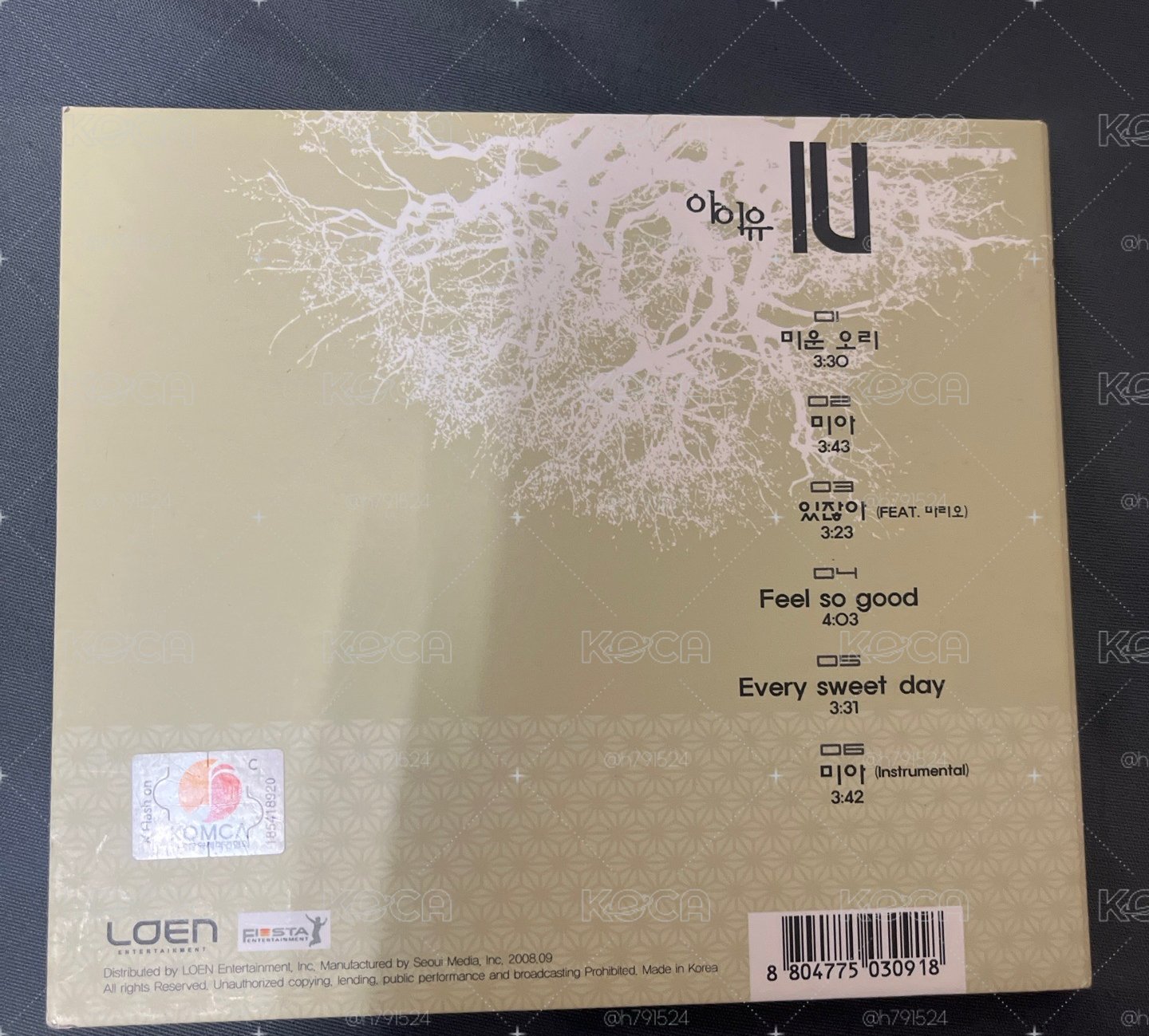 IU 李知恩 Lost and Found 專輯