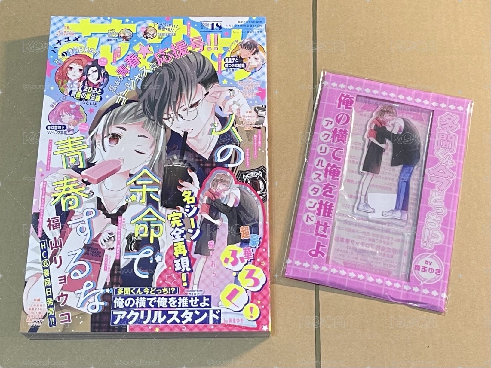 現在的是哪一個多聞！？壓克力立牌 花與夢日文版 9月5日/2026花とゆめ