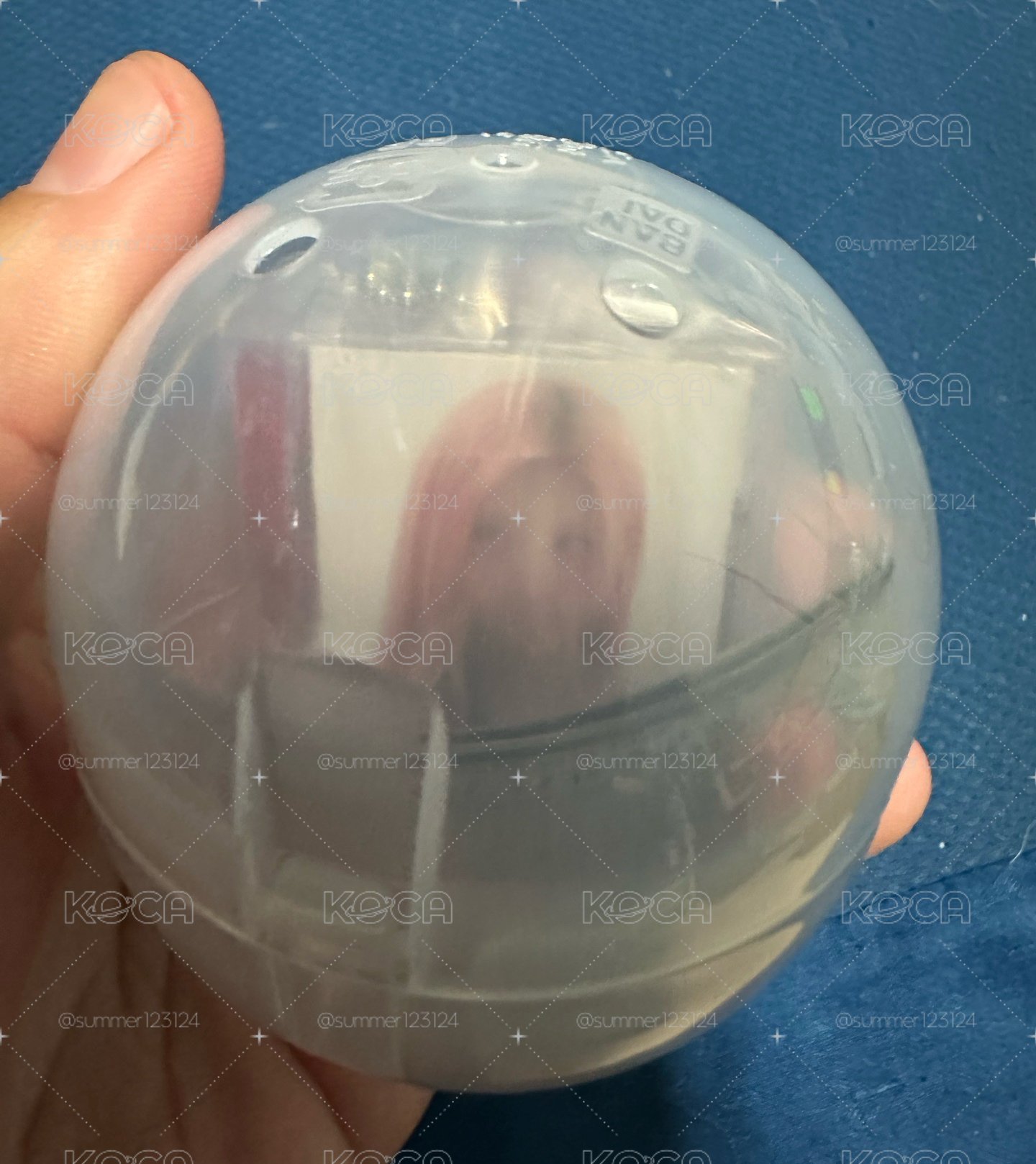 萬代CD扭蛋秋